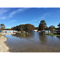 Day after the king tide Williamsburg in James City County image
